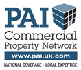 PAI Logo