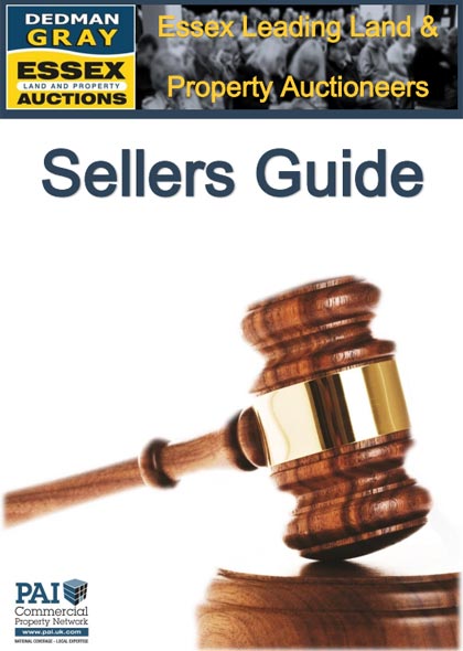 Seller's Guide to Auction